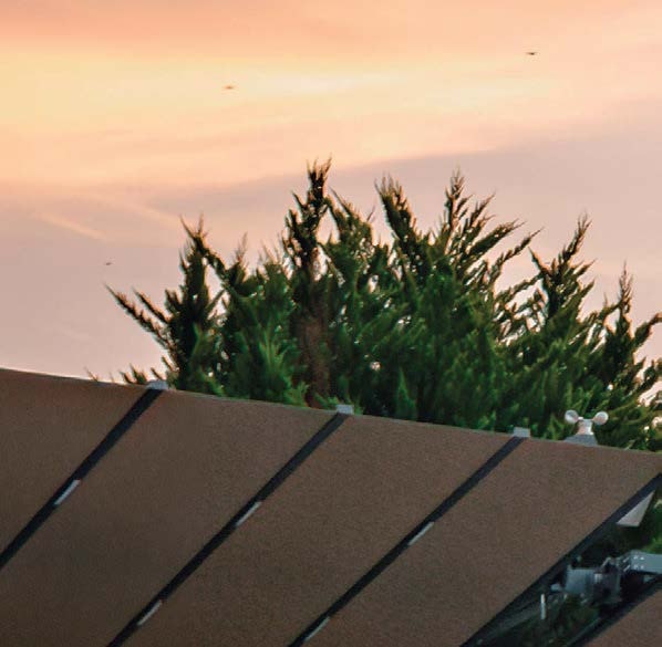 Tevalli Semsiye - Ürün Görseli