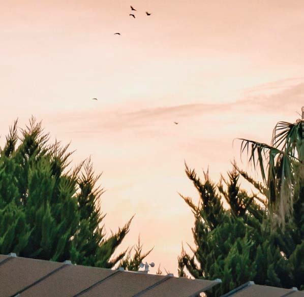 Tevalli Semsiye - Ürün Görseli